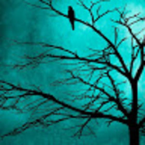 Meet your Posher, Martha